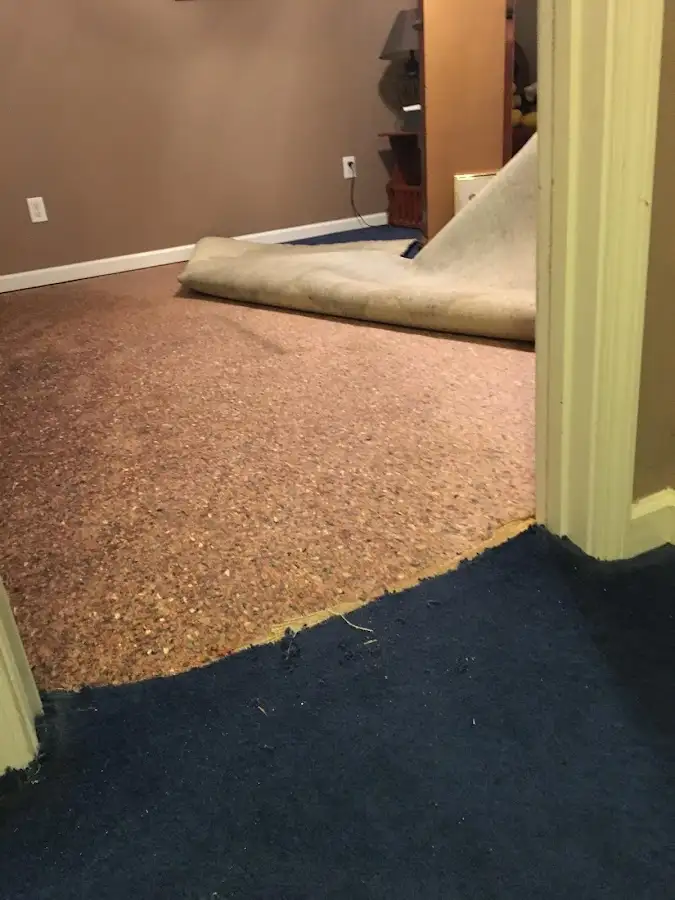 Carpet pad removal revealing water damage during Water Mitigation Services in Calverton