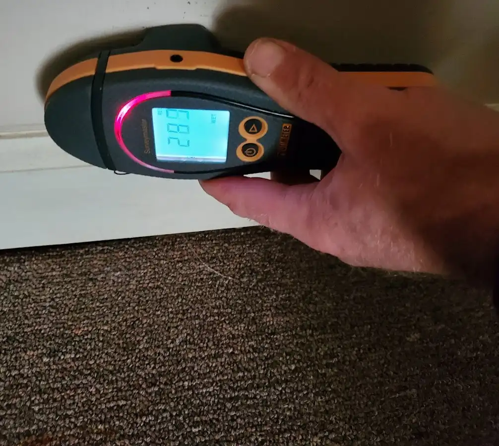 Moisture detection at baseboard during Mold Inspection & Testing in Calverton